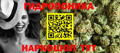 mdpv Кимры