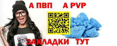 стаф Кандалакша