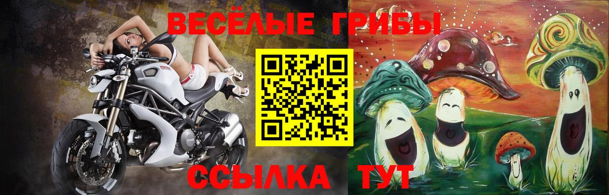 Галлюциногенные грибы Magic Shrooms Краснодар