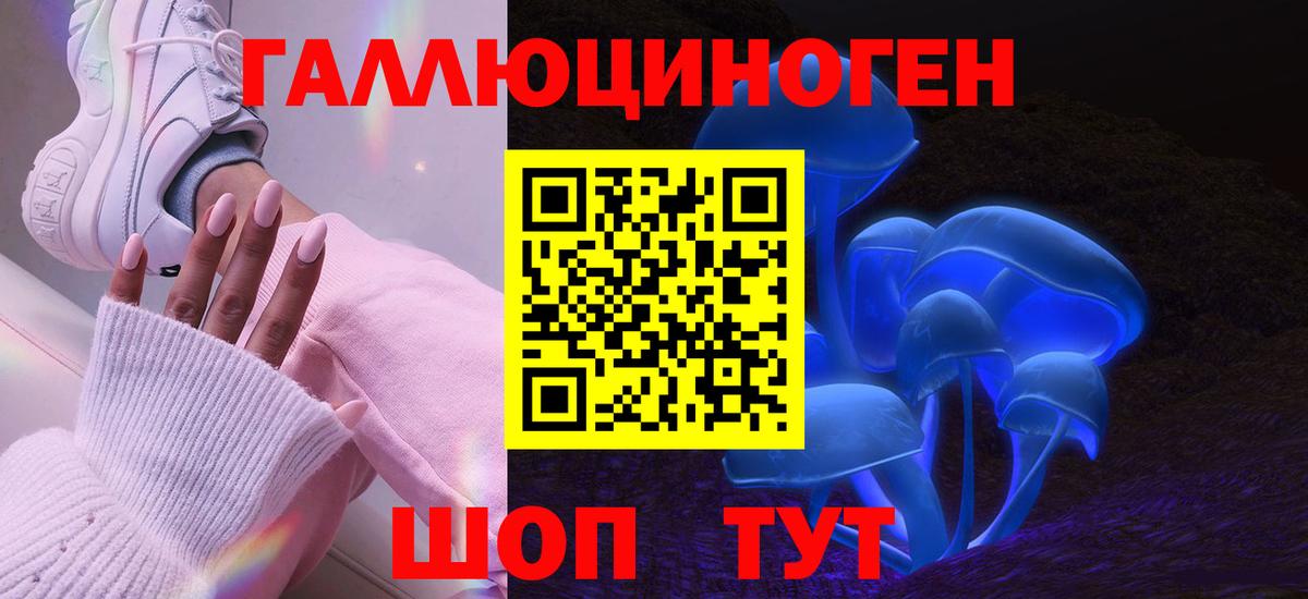 Краснодар  Псилоцибиновые грибы Psilocybe  Вход с VPN  Псилоцибиновые грибы ЛСД 